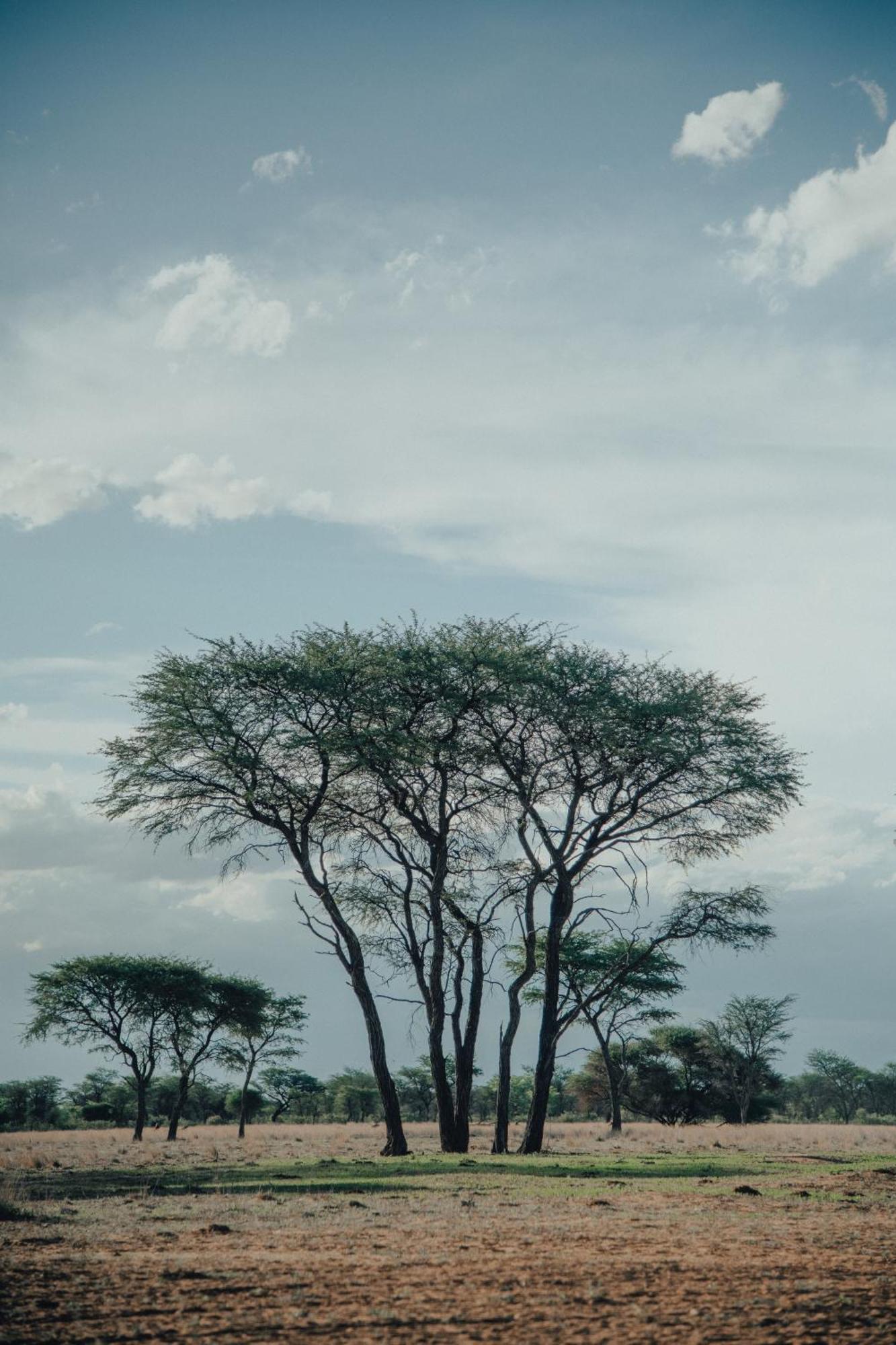 Africa Awaits Lodge & Safaris Gobabis Экстерьер фото